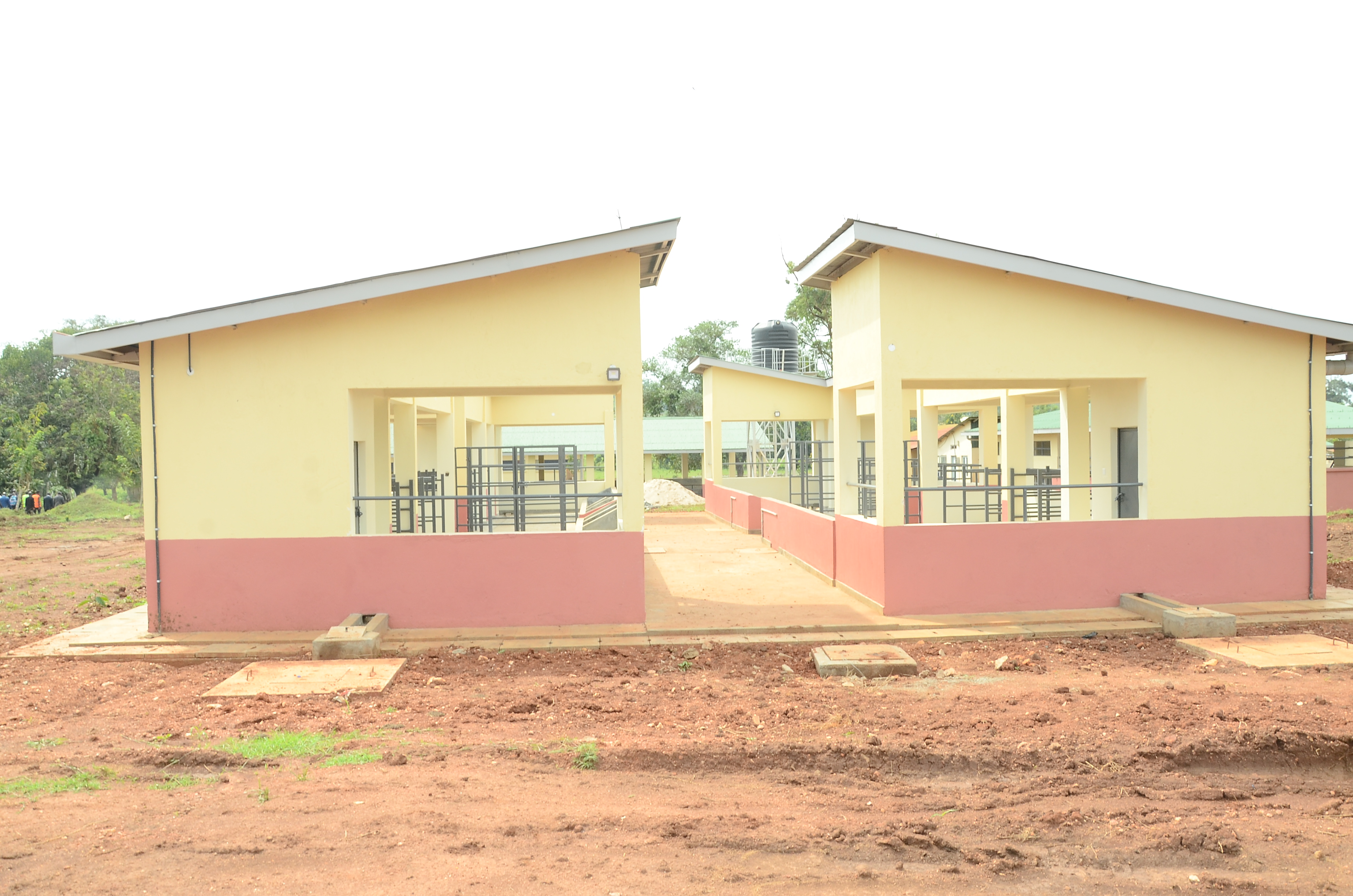 pic 3