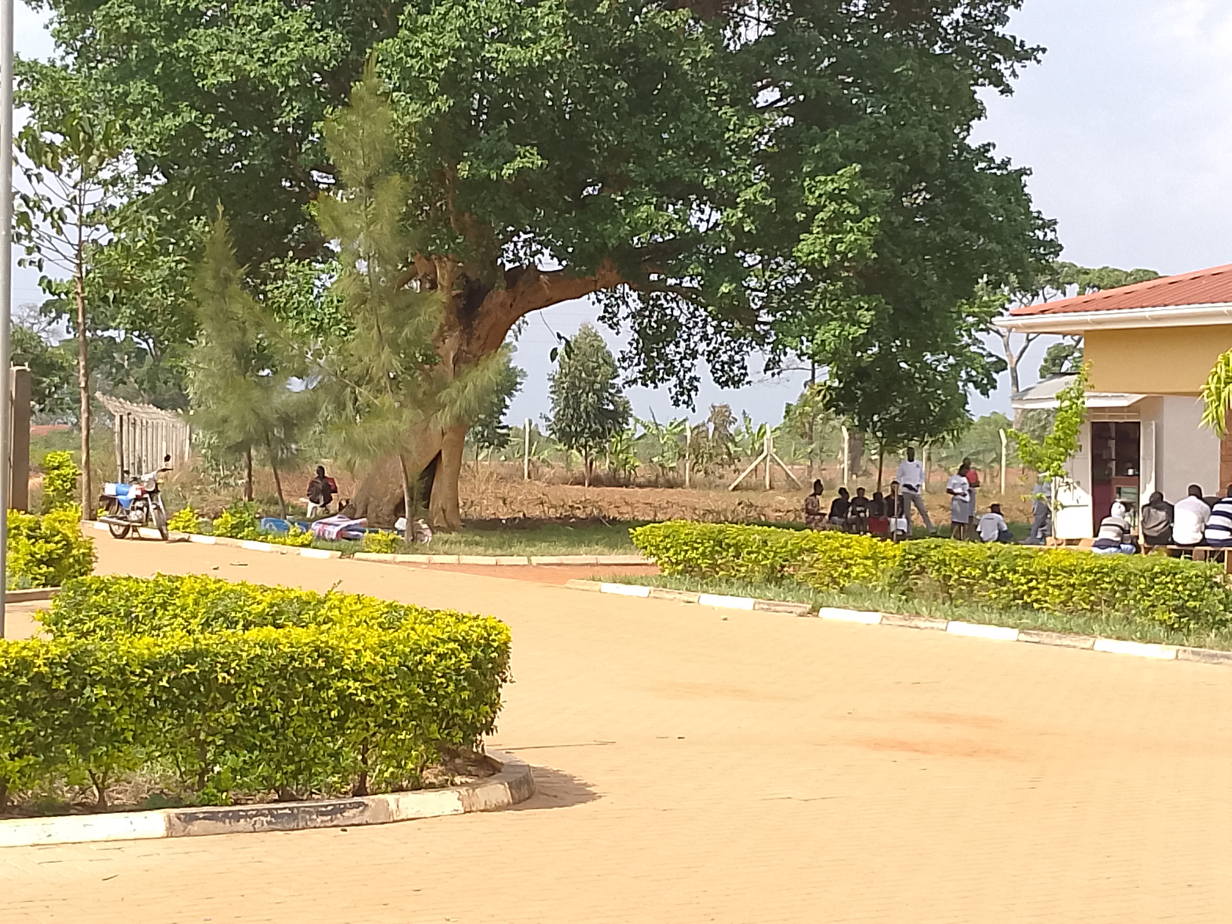 Students Reporting